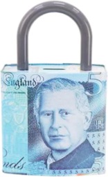 Rackhams Money Tin Box Padlock Shape 16x8x25cm, Metal Savings Bank with Handle, Coin Slot & Removable Lid, Pound Note Design, Multi-Colour, Assorted Pack 2 - thumbnail 2