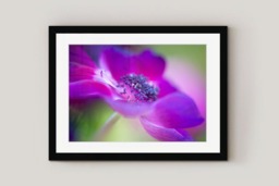 Rackhams The Magic of Caen - Framed Print 30 x 20 inch - thumbnail 3
