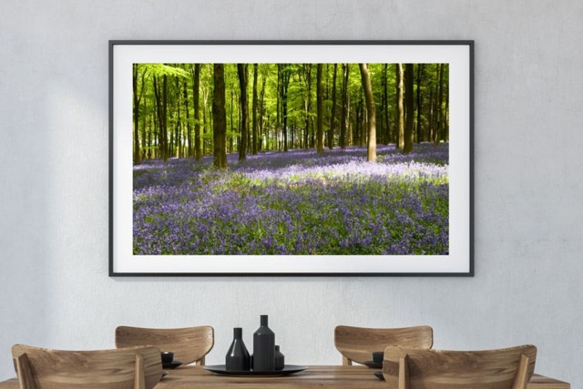 Rackhams I Dream of Bluebells - Framed Print 20 x 16 inch - image 1