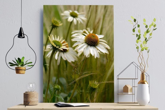 Rackhams Soft Shades of Summer II - Framed Print 16 x 12 inch - image 1