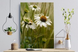 Rackhams Soft Shades of Summer II - Framed Print 16 x 12 inch - thumbnail 1