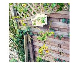 Rackhams White Bird Swing Seat Feeder - thumbnail 2