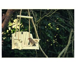 Rackhams White Bird Swing Seat Feeder - thumbnail 3