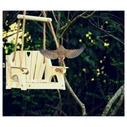 Rackhams White Bird Swing Seat Feeder