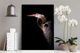 Rackhams Great Blue Heron Portrait - Framed Print 30 x 20 inch - thumbnail 1