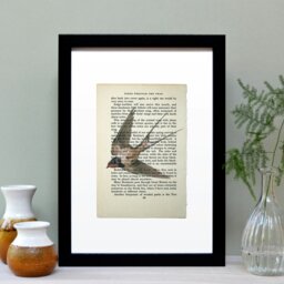 Rackhams Swallow vintage book page art print - White - thumbnail 3