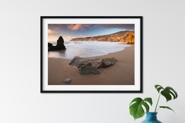 Rackhams Jellyfish - Framed Print 30 x 20 inch - image 1