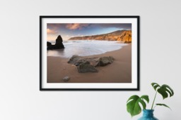 Rackhams Jellyfish - Framed Print 30 x 20 inch - thumbnail 1