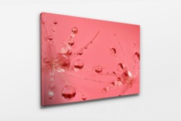 Rackhams Pink Bubbles - Framed Print 20 x 16 inch - thumbnail 4