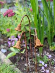 Rackhams Metal Bluebells Garden Sculptures - Rusty Metal Garden Flowers - One sculpture