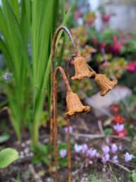 Rackhams Metal Bluebells Garden Sculptures - Rusty Metal Garden Flowers - One sculpture - thumbnail 3