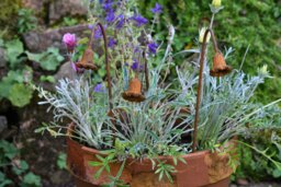 Rackhams Metal Bluebells Garden Sculptures - Rusty Metal Garden Flowers - One sculpture - thumbnail 2