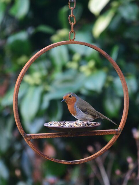 Rackhams Hanging Bird Feeder Platform Ring - image 1