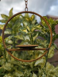 Rackhams Hanging Bird Feeder Platform Ring - thumbnail 5