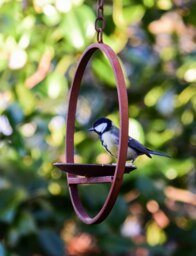 Rackhams Hanging Bird Feeder Platform Ring - thumbnail 4