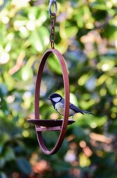 Rackhams Hanging Bird Feeder Platform Ring - thumbnail 2