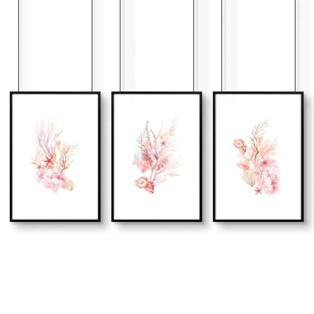 Rackhams Framed Pictures For The Bathroom - Set of 3 Seashells Wall art Prints - A4 8.27 x 11.69 in / 21 x 29.7 cm - Satin Photo paper 280 gsm - Black Frame - image 1