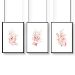 Rackhams Framed Pictures For The Bathroom - Set of 3 Seashells Wall art Prints - A4 8.27 x 11.69 in / 21 x 29.7 cm - Satin Photo paper 280 gsm - Black Frame - thumbnail 1
