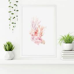 Rackhams Framed Pictures For The Bathroom - Set of 3 Seashells Wall art Prints - A4 8.27 x 11.69 in / 21 x 29.7 cm - Satin Photo paper 280 gsm - Black Frame - thumbnail 6