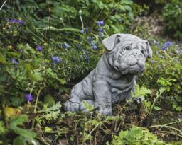 Rackhams Cute Bulldog Pup Garden Ornament Dog Statue - thumbnail 6