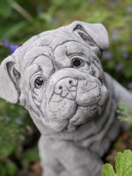 Rackhams Cute Bulldog Pup Garden Ornament Dog Statue - thumbnail 3