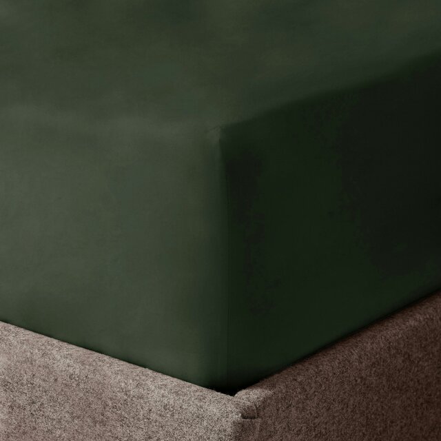 Rackhams Microfibre Easy Care Fitted Sheet - Olive - King - image 1