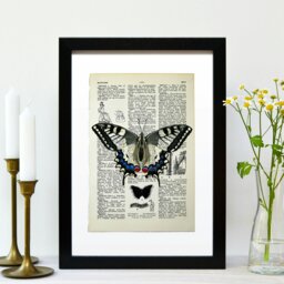Rackhams Swallowtail butterfly vintage book page art print - No frame - thumbnail 3