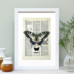 Rackhams Swallowtail butterfly vintage book page art print - No frame - thumbnail 2