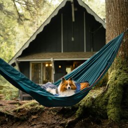 Rackhams TrunkTech™ Single Hammock - Green / Aqua - thumbnail 6