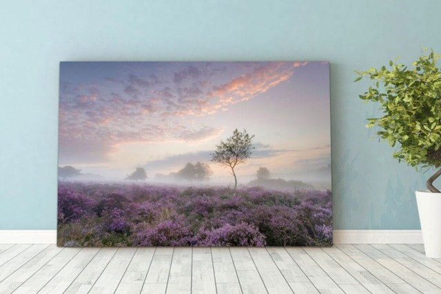Rackhams Serenity at Sunrise - Framed Print 20 x 16 inch - image 1