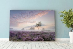 Rackhams Serenity at Sunrise - Framed Print 20 x 16 inch