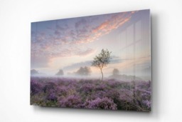 Rackhams Serenity at Sunrise - Framed Print 20 x 16 inch - thumbnail 3