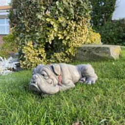 Rackhams Lying Bulldog Small Garden Ornament - thumbnail 1