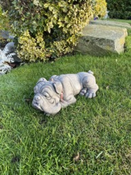 Rackhams Lying Bulldog Small Garden Ornament - thumbnail 6