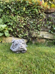 Rackhams Lying Bulldog Small Garden Ornament - thumbnail 3