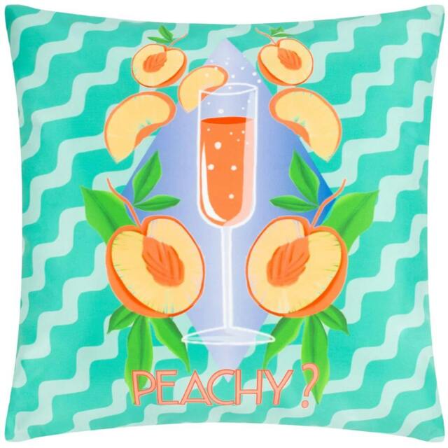 Rackhams Peachy Abstract Outdoor Cushion Cover - Aqua - 43cm x 43cm - Aqua - 100% Polyester - image 1