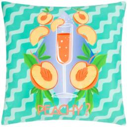 Rackhams Peachy Abstract Outdoor Cushion Cover - Aqua - 43cm x 43cm - Aqua - 100% Polyester