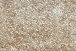 Rackhams Wall-To-Wall Pozzolana Rug - 200cm x 300cm - thumbnail 5