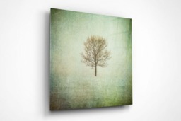 Rackhams Lonely Tree - Framed Print 24 x 24 inch - thumbnail 3