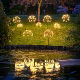 Rackhams Solar Dandelion Outdoor Stake Light - Large - thumbnail 2
