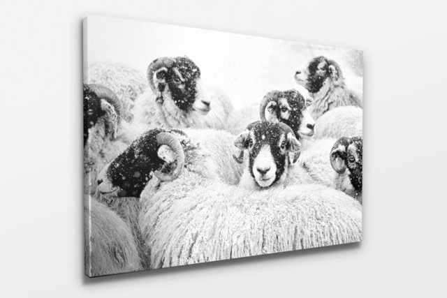 Rackhams In Winter's Grip - Framed Print 20 x 16 inch - image 1
