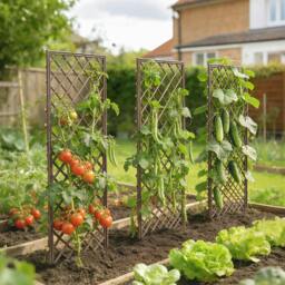 Rackhams Garden Arch, Wicker Trellis Support Frame with Flat Top, Natural - Wicker - Natural wood finish - Garden Arch