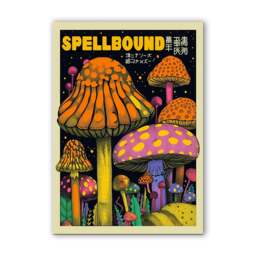 Rackhams Spellbound Artwork - Framing Options Available - Black - A2 - Framed Print - thumbnail 3