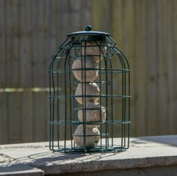 Rackhams Pack of 2 Samuel Alexander Metal Hanging Bird Fat Ball Feeder with Squirrel Guard & Pack of 6 Suet Fat Balls - thumbnail 3