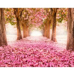 Rackhams Blossom Trees Wall Mural - Rose Pink - Rose Pink - Large - W350cm x H280cm - thumbnail 2