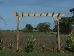 Rackhams Corbel Single Beam Pergola, Plant Climbing Arbour - Sculpted brace - Natural (Light Green) - Two Row Kit - 1.8m - thumbnail 4
