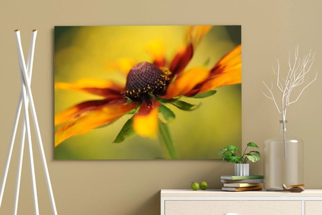 Rackhams Rudbeckia - Framed Print 30 x 20 inch - image 1