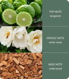 Rackhams Cedarwood & White Musk - Bamboo Large Jar Candle - thumbnail 4