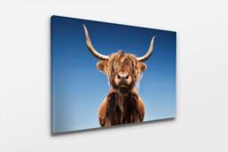 Rackhams Pride of The Highlands - Framed Print 16 x 12 inch