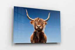 Rackhams Pride of The Highlands - Framed Print 16 x 12 inch - thumbnail 3
